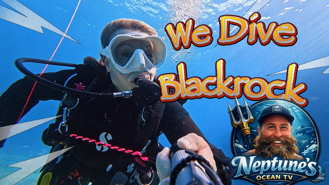 We Drove Across Maui for This Dive… Black Rock Did NOT Disappoint! 🐙🔥