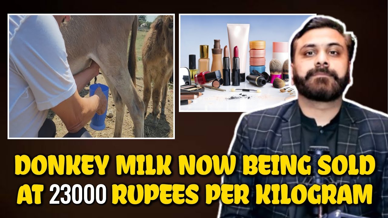 Donkey Milk Now Being Sold At 23000 Rupees Per Kilogram