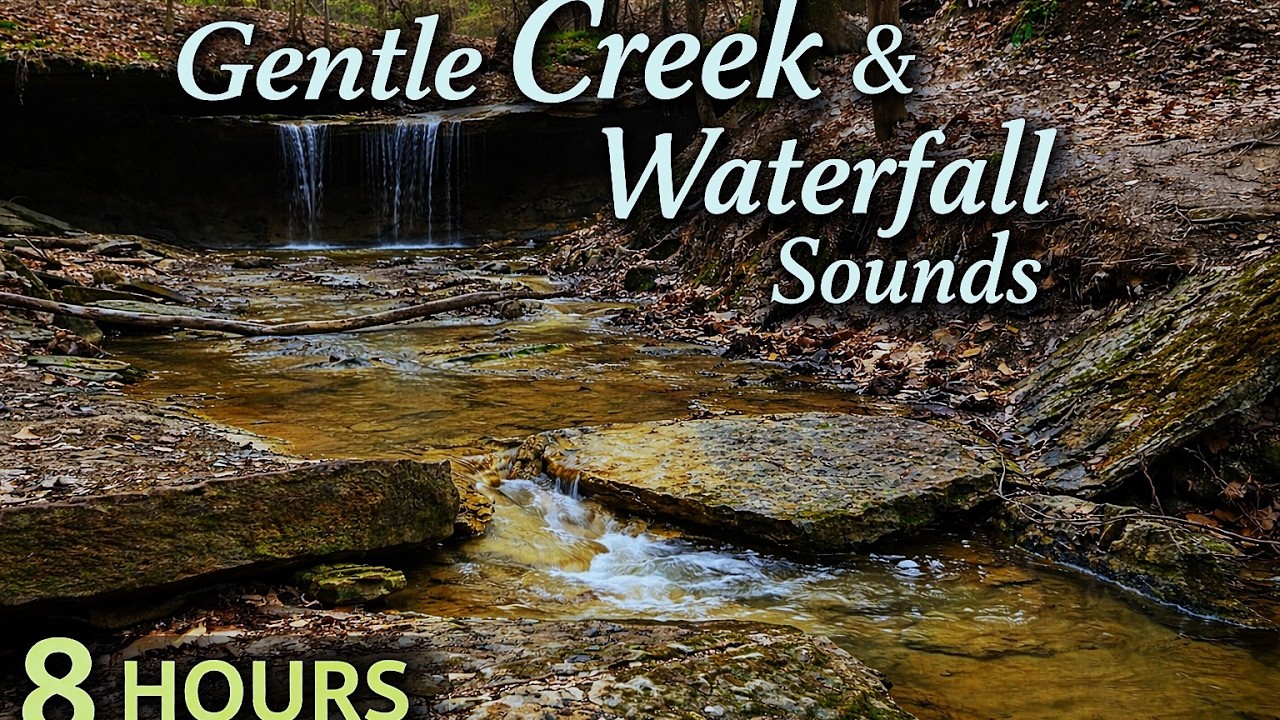 Gentle Creek & Waterfall Sounds | 8 Hours of Flowing Water for Deep Sleep