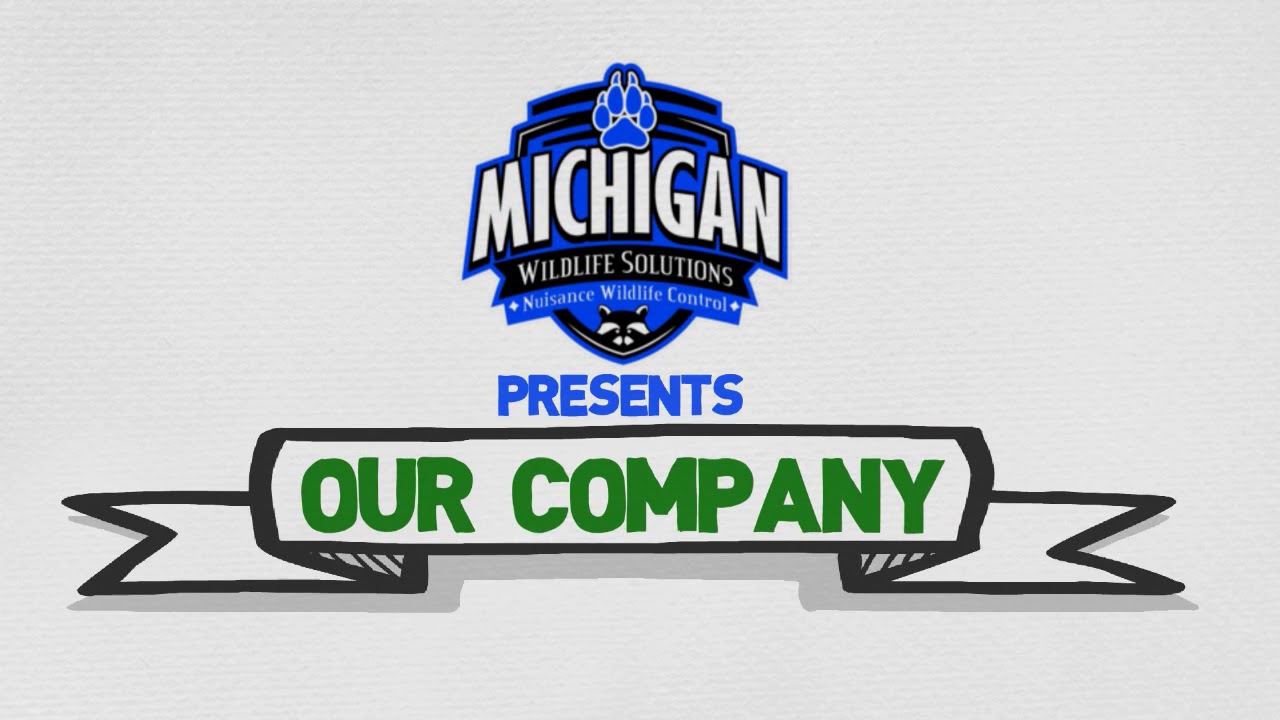 Michigan Wildlife Solutions