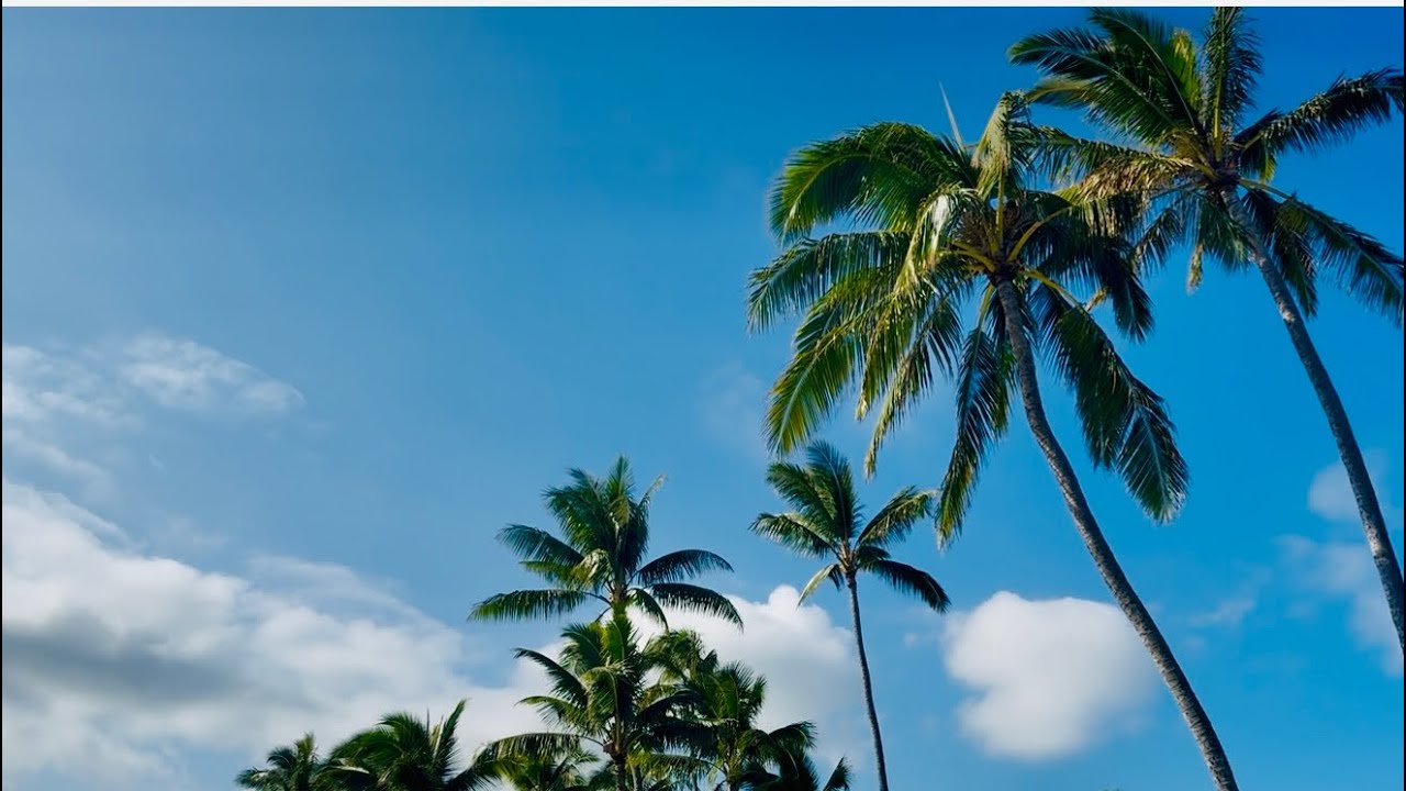 Holoholo in Waimanalo & Kailua