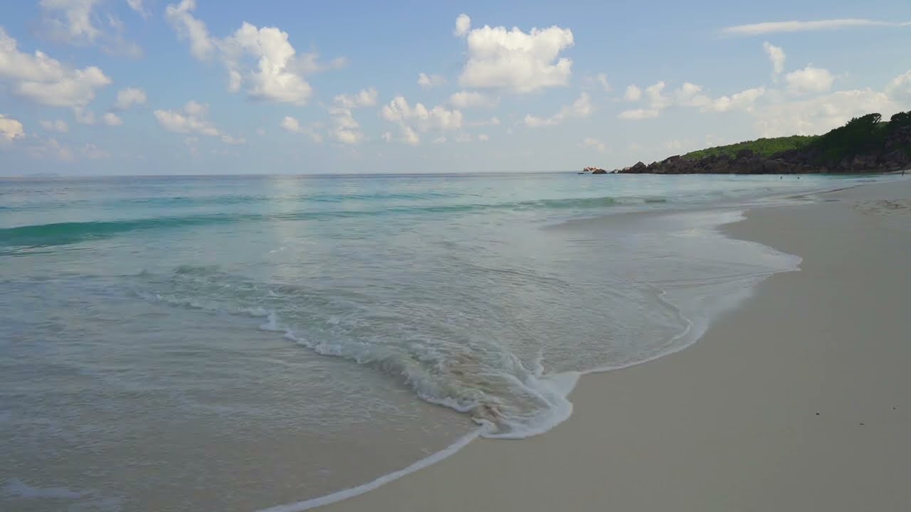 Seychelles Sounds of waves and birds #island   #ocean  #waves #seychelles