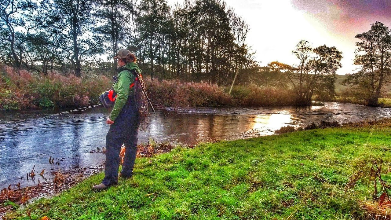 Grayling Fly Fishing The Derbyshire Wye In The Rain