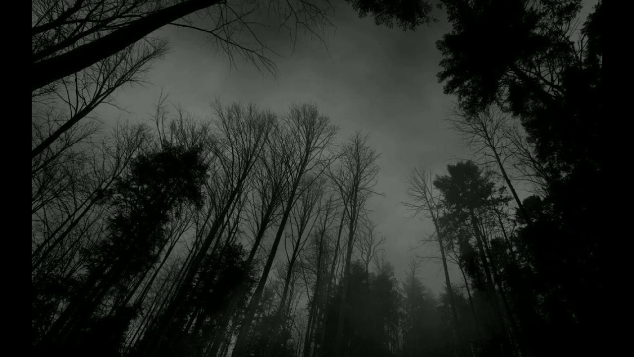 Asymmetric - Revenge