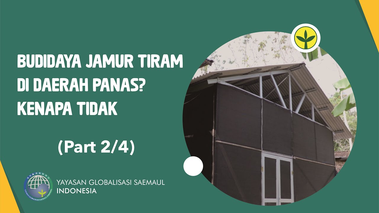 Cara Budidaya Jamur Tiram : Pembangunan Kumbung (Part 2/4) / 느타리버섯 재배 방법 : 버섯재배사 제작 (Part 2/4)