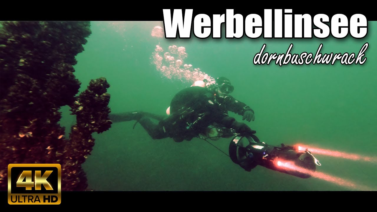 WERBELLINSEE above & under - dornbuschwrack, Płetwal Poznań