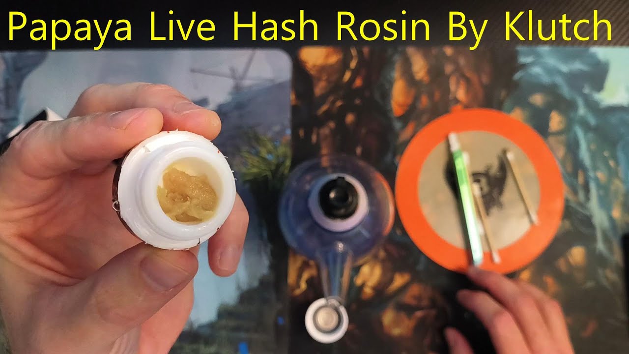 Papaya Live Hash Rosin by KLUTCH!!!