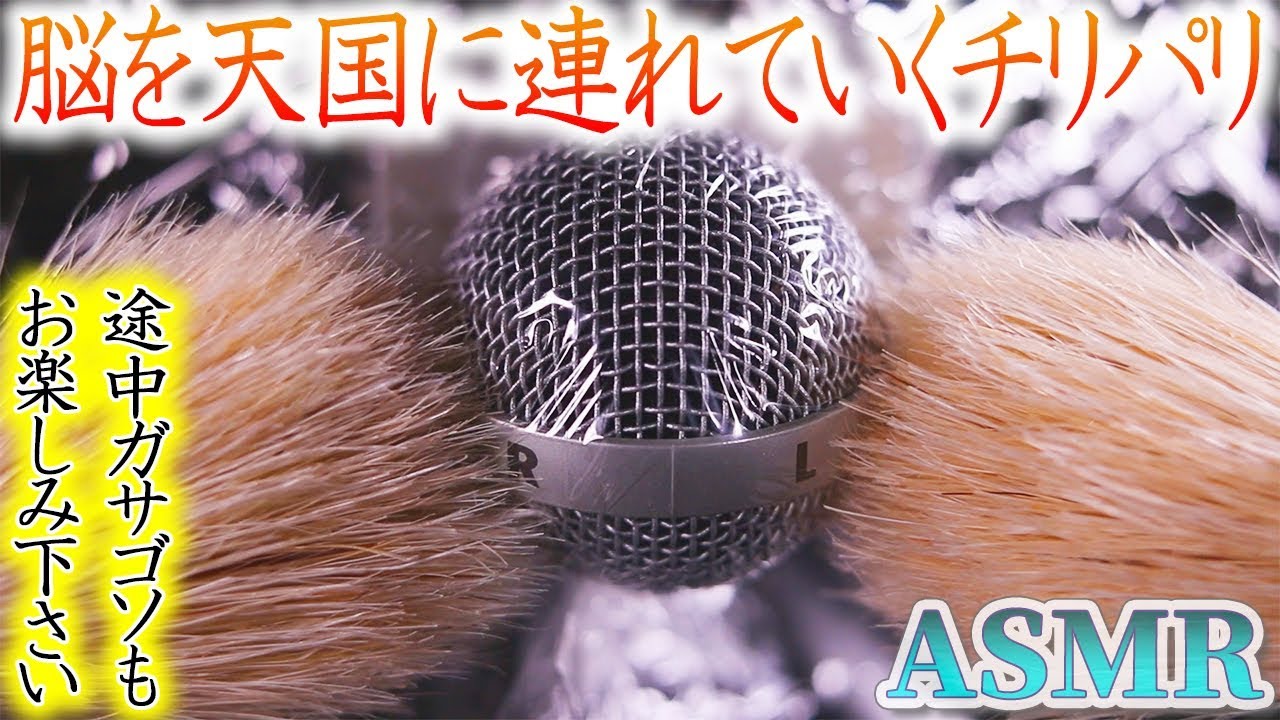 【ASMR】豚毛が脳に襲い掛かる最高のパリチリ音♡可愛いまんまるマイクを色んなものを被せてガサゴソペリパリ気持ち良く眠れる音【音好き】綿手袋、ティッシュ、サランラップ、シェービングブラシ他おまけ付
