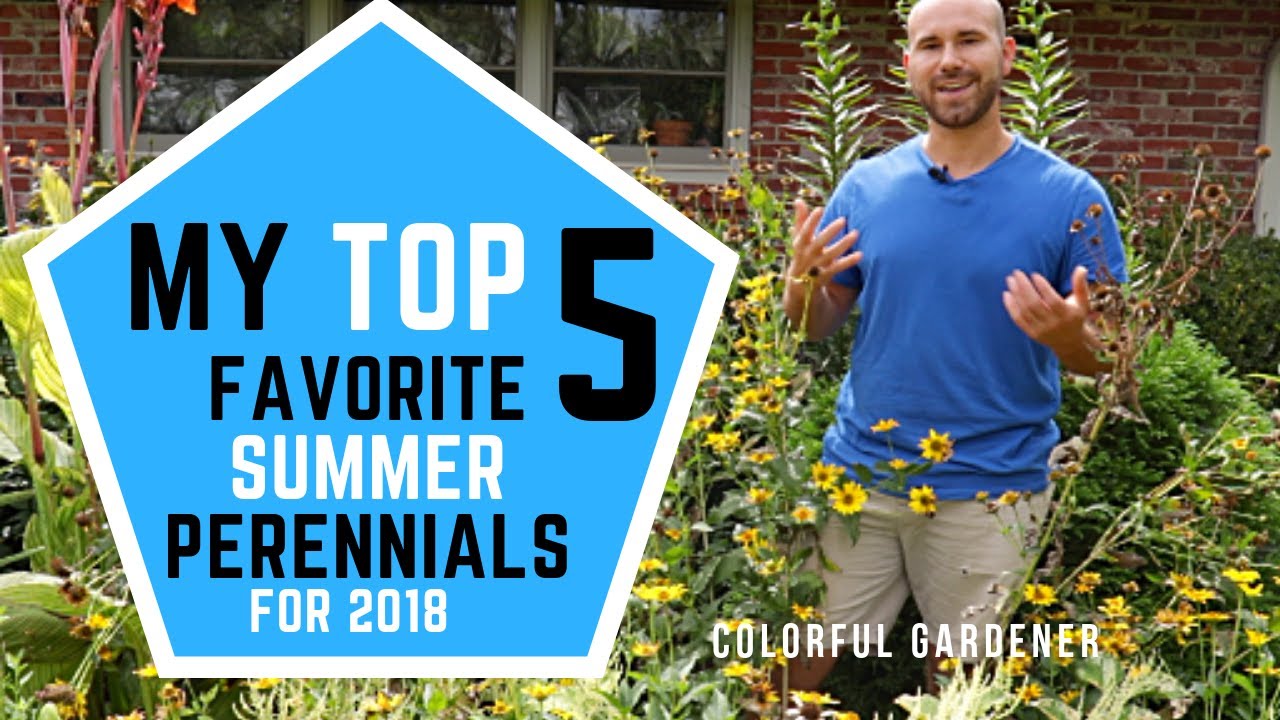 My Top 5 Favorite Summer Perennials for 2018 🌼👍🏻 / Colorful Gardener