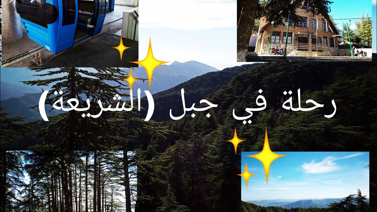 جولة معي في جبل شريعة (ولاية البليدة)