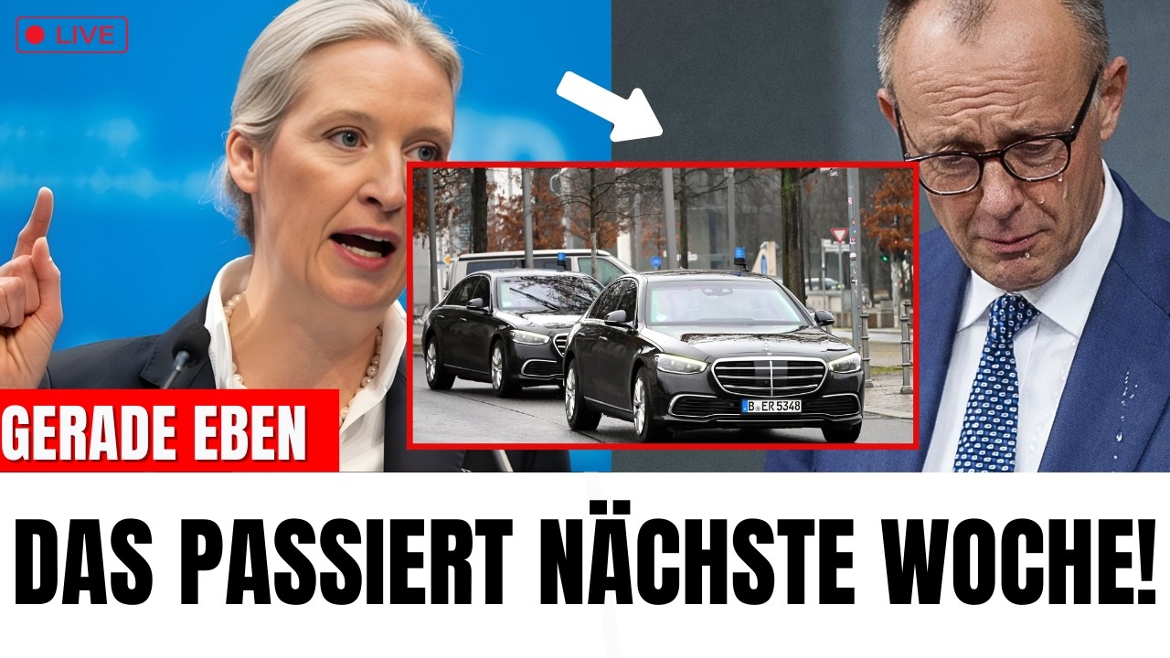 Alice Weidel VERR&Auml;T was n&auml;chste Woche Passieren Wird ! Merz Rastet aus
