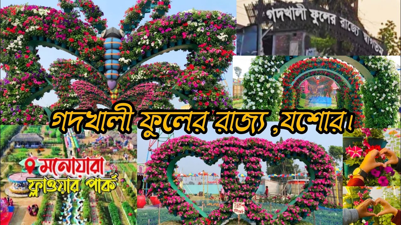 গদখালী ফুলের রাজ্য যশোর।গদখালী ভ্রমণ গাইড ২০২৬। মনোয়ার ফ্লাওয়ার পার্ক, যশোর।Godkhali।Jessore।