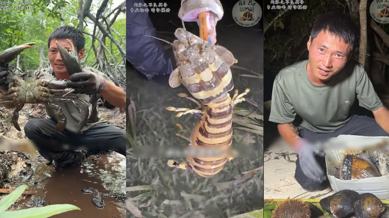 Full | Sinh tồn thử thách trên đảo hoang cùng người hâm mộ và hải sản ăn phủ phê| Hà Bá Sinh Tồn