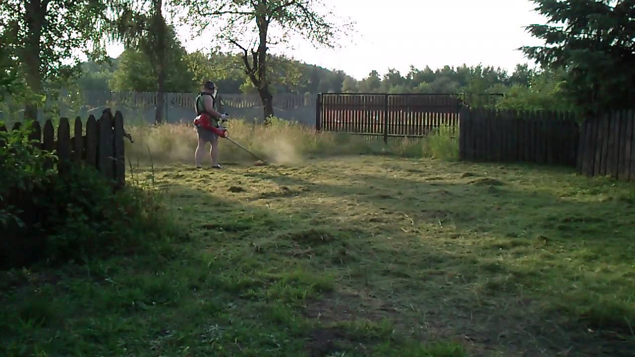 MOV 0062