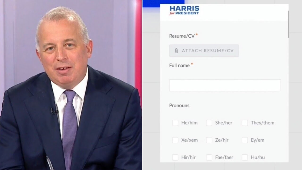 Nine sets of pronouns in Harris campaign’s woke application process