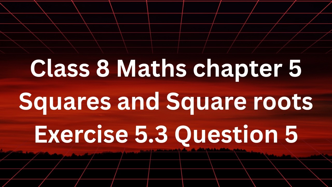 Class 8 Maths Chapter 5 Squares and Square Roots | Exercise 5.3 Question 5