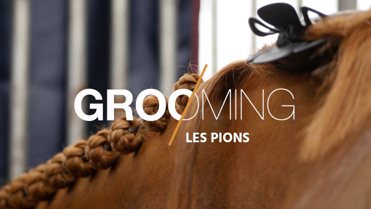 [GROOMING] Des pions parfaits ! 🐴
