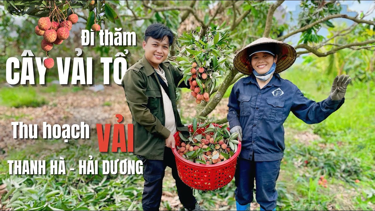 Đi thăm 