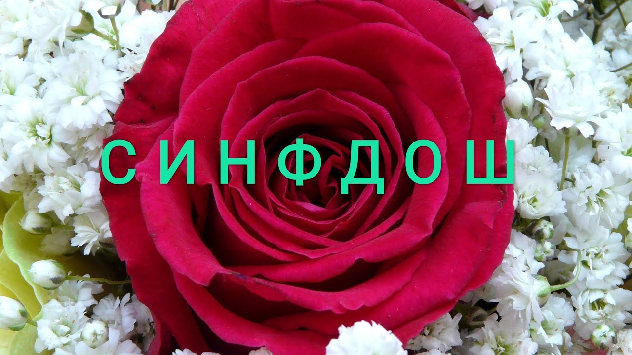 ♥️ 