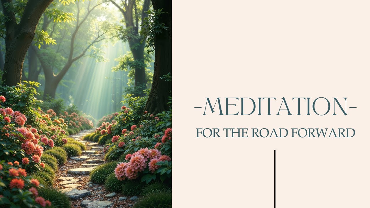Meditation for the Road Forward