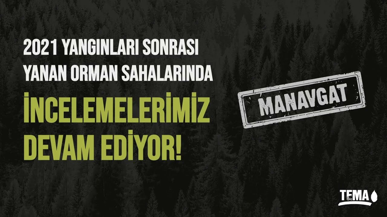 2021 Yangınları Sonrası Yanan Orman Sahalarında İncelemelerimiz Devam Ediyor! | Manavgat