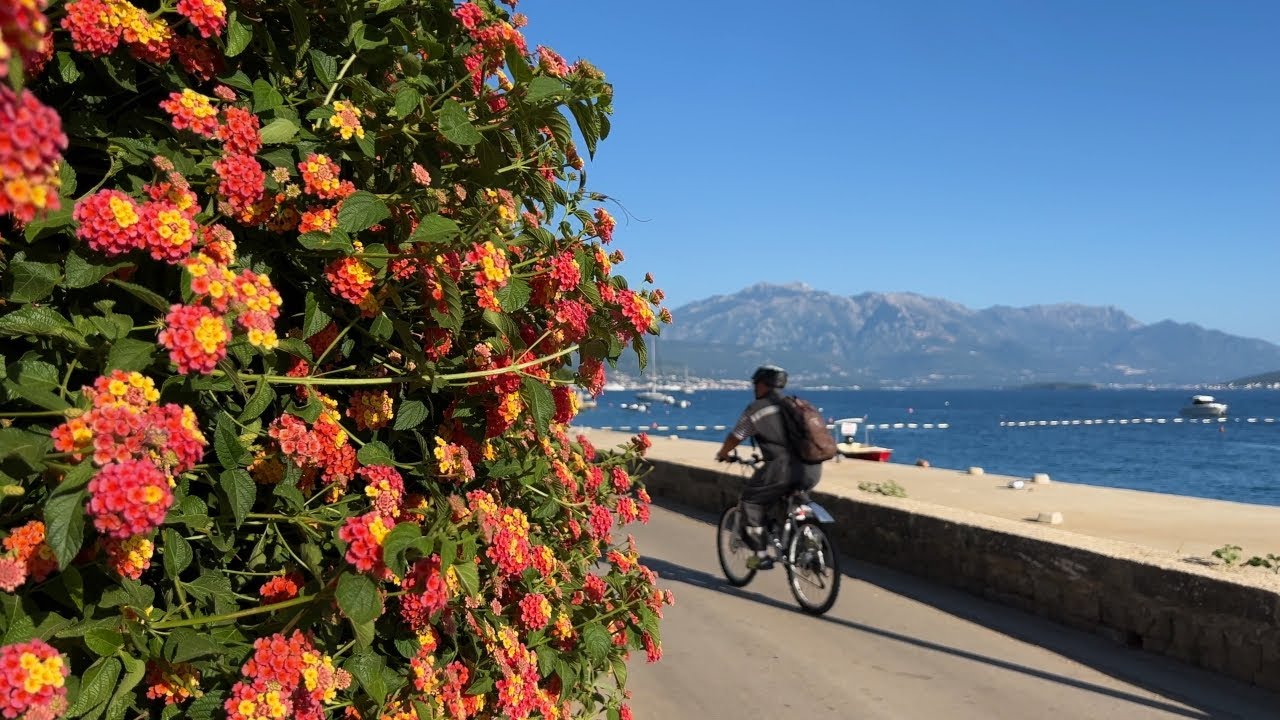 Autumn evening walk in Đenovići, Montenegro | Прогулка по Дженовичи, Черногория