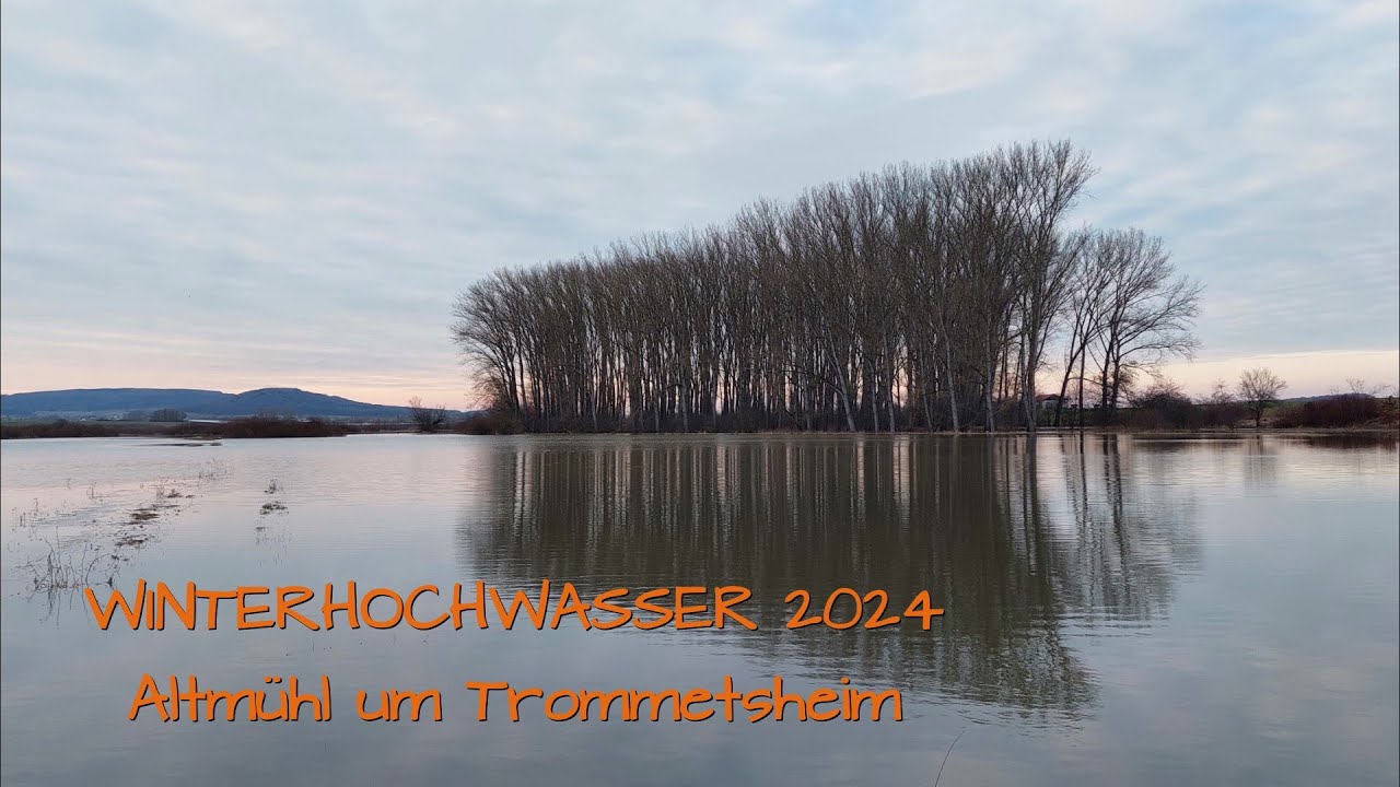 Winterhochwasser 2024 Trommetsheim #Altmühl #winter #winterhochwasser #trommetsheim #altmühltal