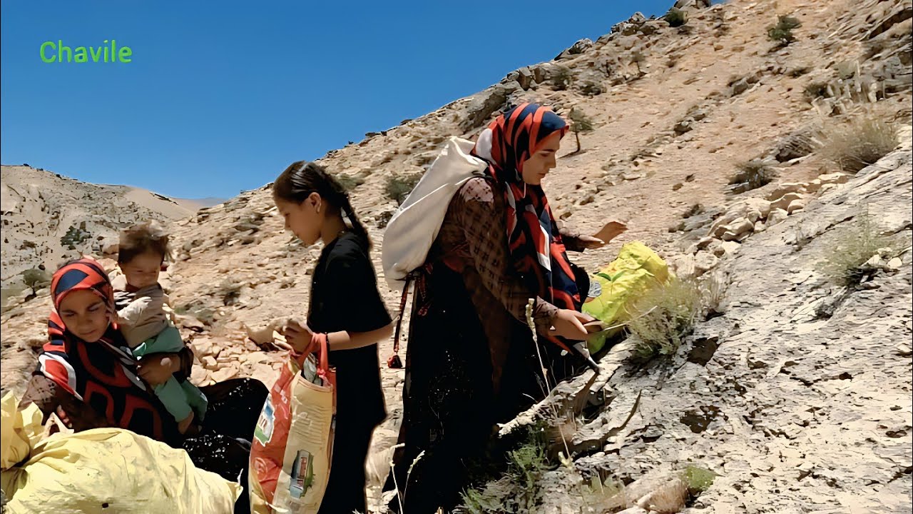 Nomadic Mother’s Herbal Journey with Her Children into Iran’s Wild Mountains