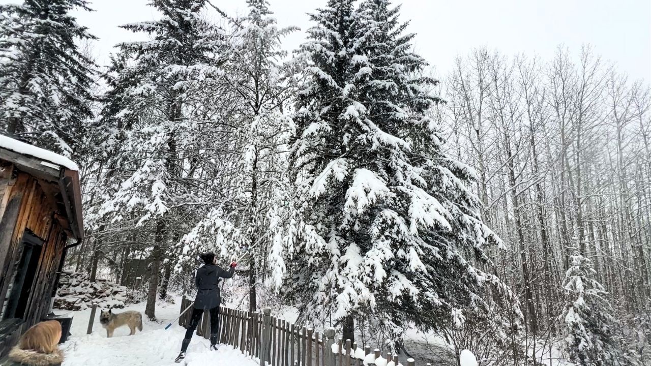 We Live Off Grid in Northern Canada. This Is Our Winter.
