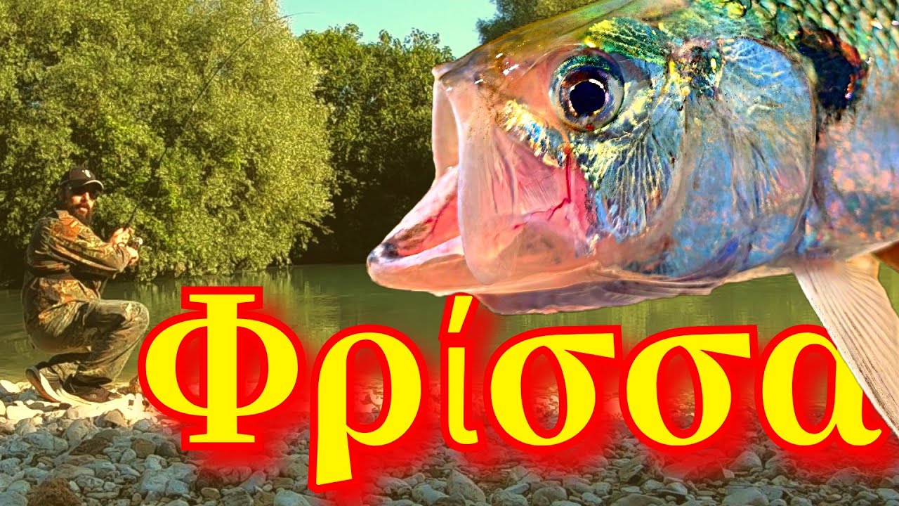 Frissa or Sardelomana River Spinning Fishing Greece! Get In!
