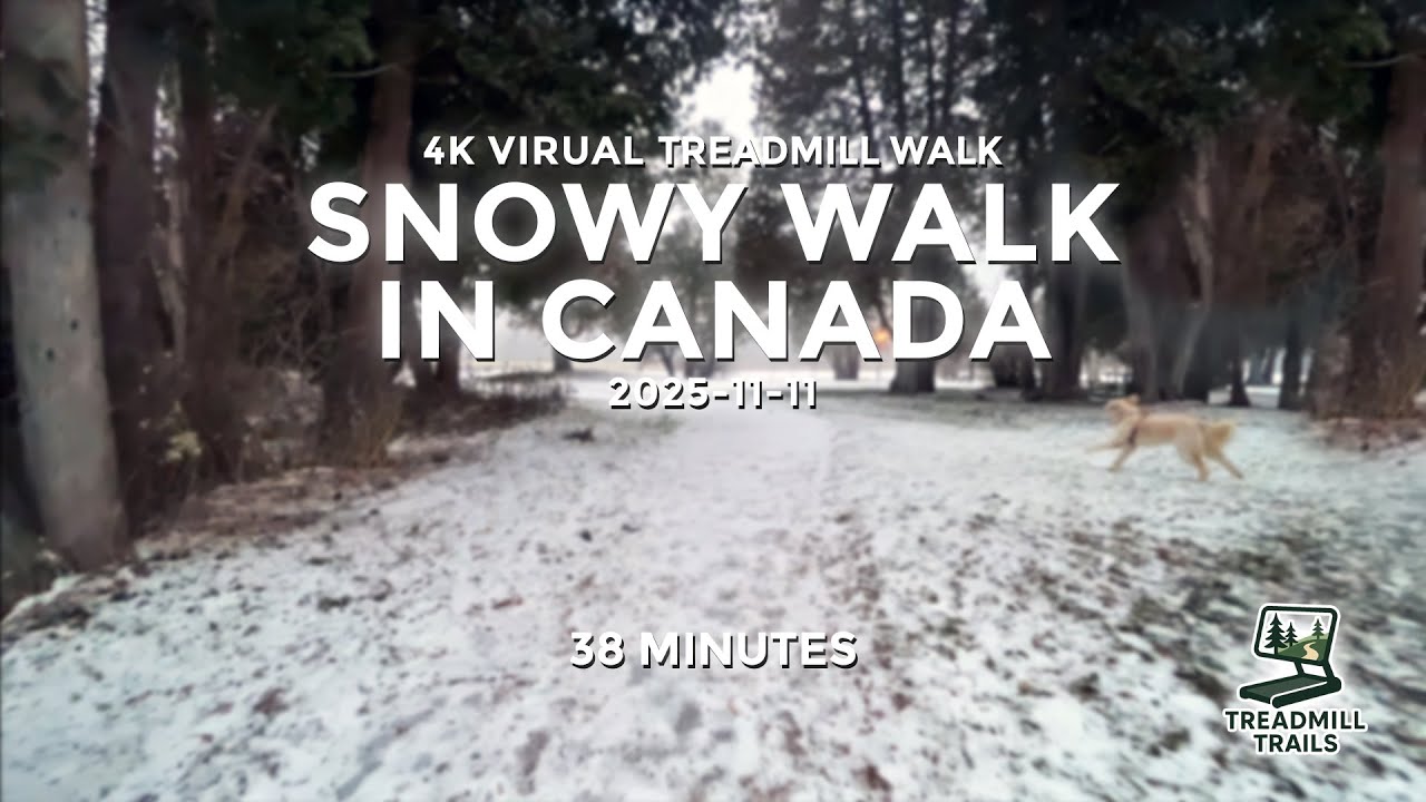 Snowy Walk In Canada - 4K Virtual Treadmill Walk - 35mins