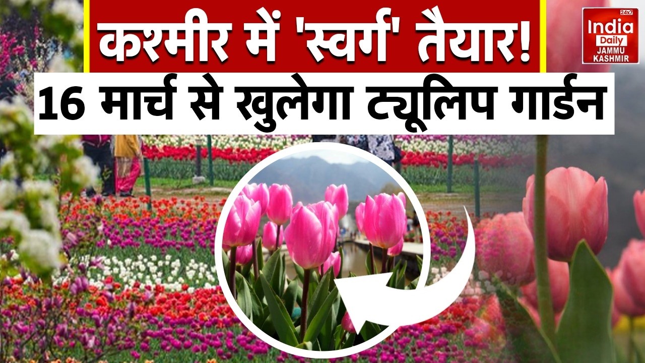 Jammu Kashmir में नई शुरुआत! Srinagar का Indira Gandhi Memorial Tulip Garden 16 March से खुलेगा