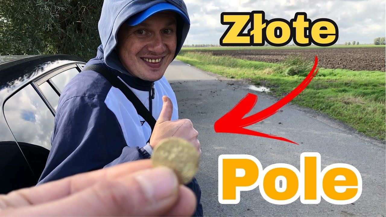 Holenderska złota jesień. Wykopki na złotym Polu.