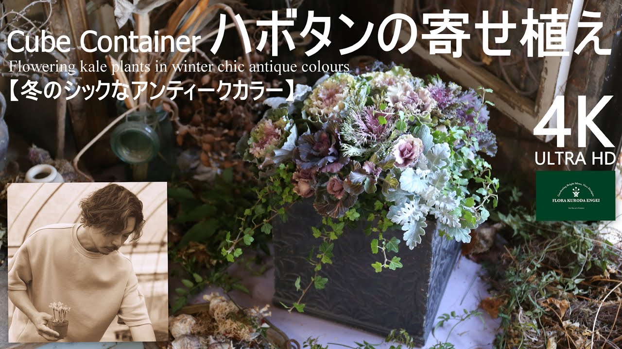 葉牡丹／アンティークカラーのハボタン寄せ植え【冬のガーデニング】-フローラ黒田園芸- mixed planting / Winter gardening 4K ULTRA HD