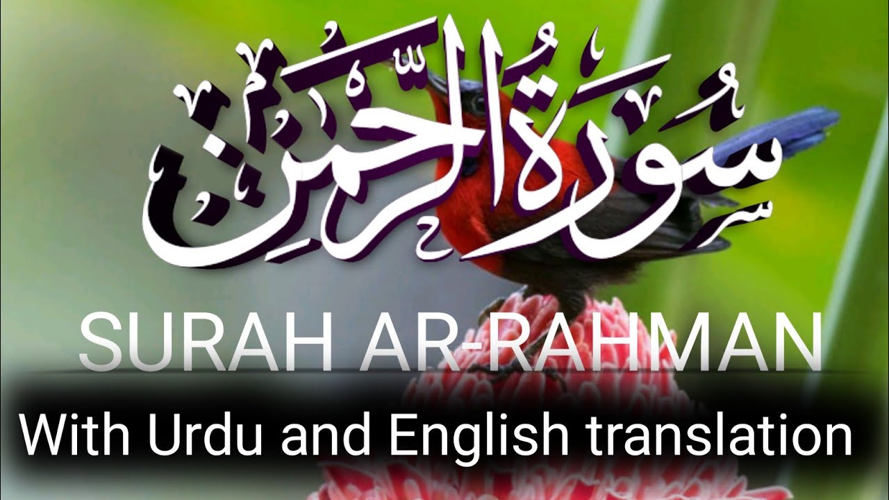 Surah Ar Rahman Beautifull video| Heart Melting Tilawat l سورۃ الرحمٰن l Irfan ul quran l