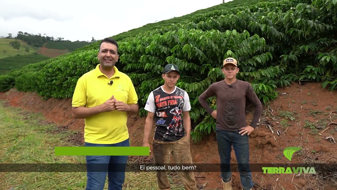 Lavouras de Café de Alta Produtividade -  Cafés Robustas e Conilon no ES!