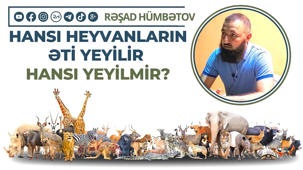 🌿 Hansı heyvanların əti yeyilir hansı yeyilmir.. 👉 Rəşad Hümbətov
