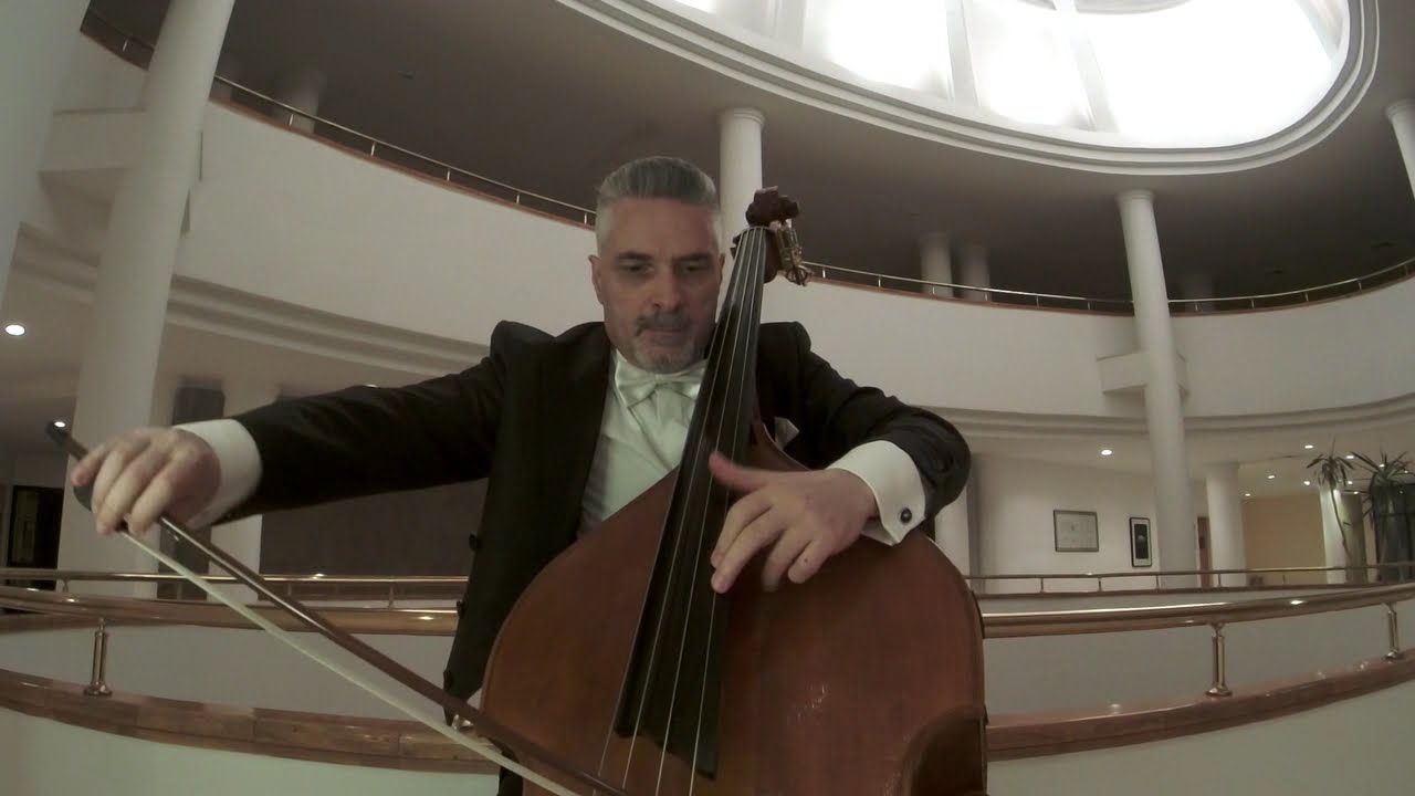 Domenico DRAGONETTİ - Twelve Waltzes