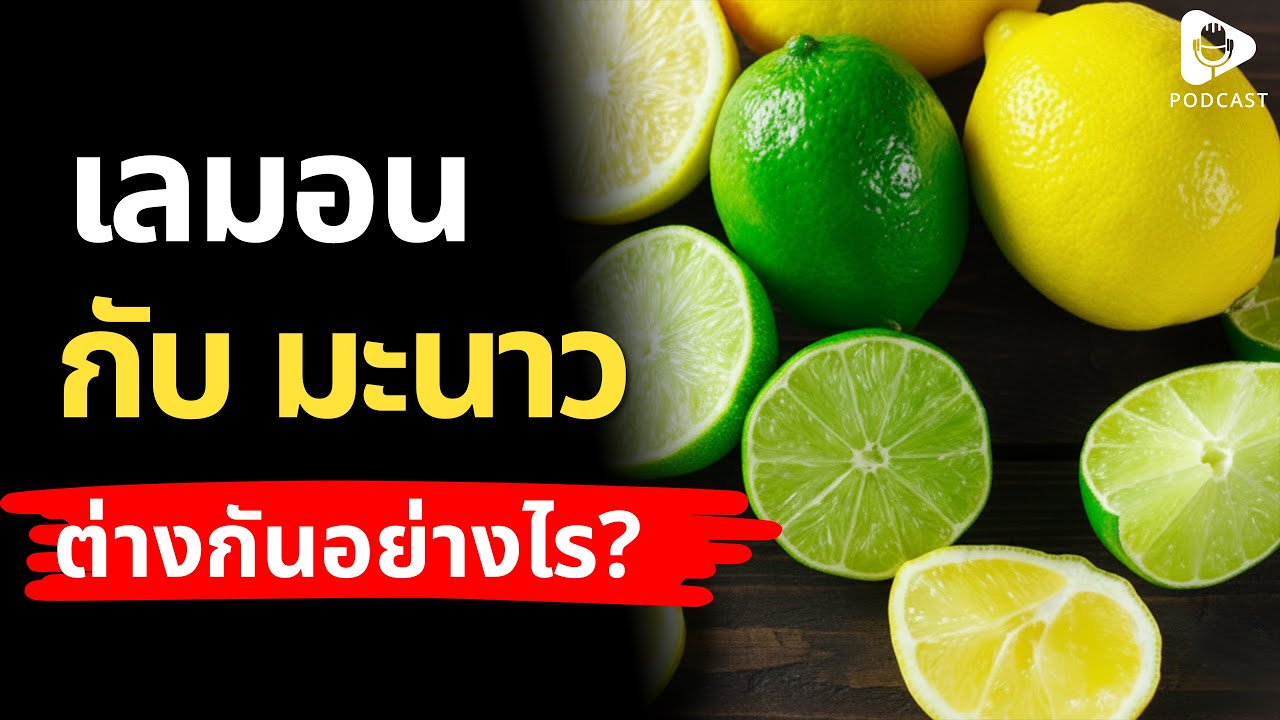 ไขข้อสงสัย เลมอน กับ มะนาว ต่างกันอย่างไร? | เรื่อง (ไม่) รู้รอบตัว