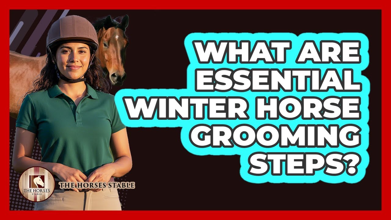 What Are Essential Winter Horse Grooming Steps?