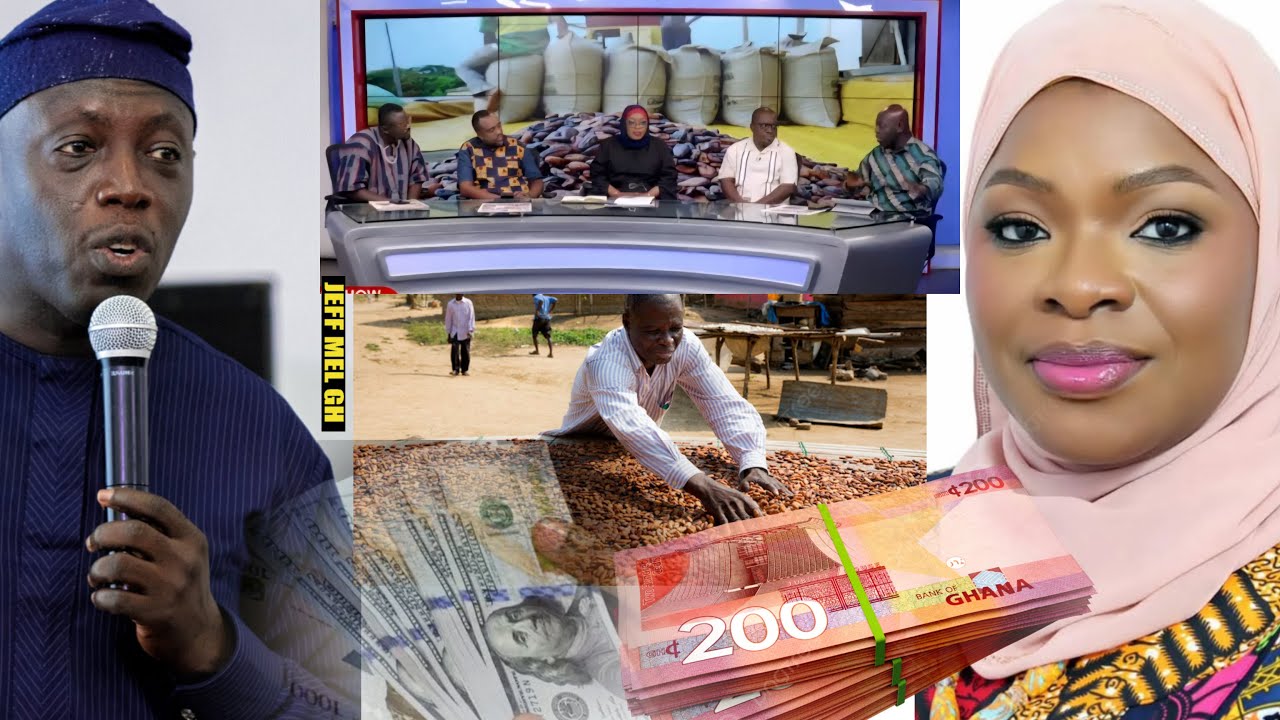 🫵Stop Complaining & Use either Reserves or Borrow to pay Cocoa Farmers, Prof Baoadi 💥💥 NDC#jeffmelgh