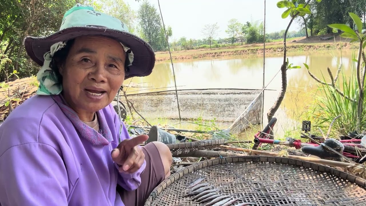 ตากปลาว้ายให้ลูกหลานทอดหอมหอมกับข้าวเหนียวร้อนร้อนมาเด้อปรารถนาธิดาลาว ￼