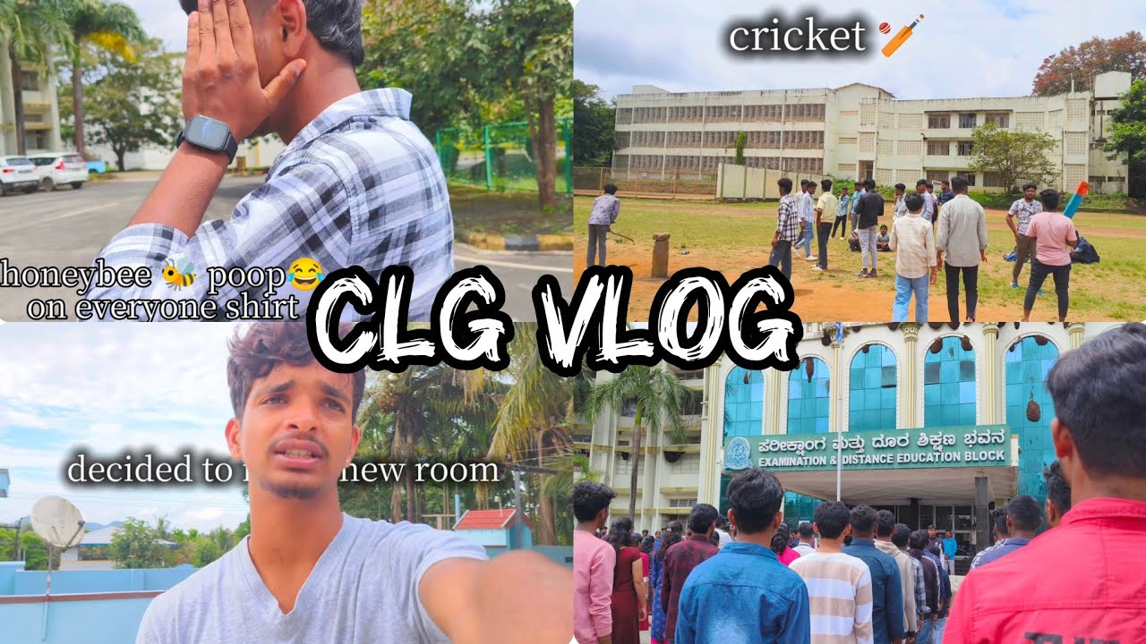 Honeybee poop on everyone shirt 😂😅|| decided to built a new room || cricket boys 🏏  