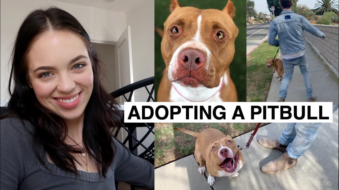 ARE WE READY TO ADOPT?!