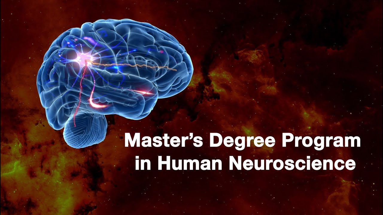 Master’s Degree Programme in Human Neuroscience at the University of Turku