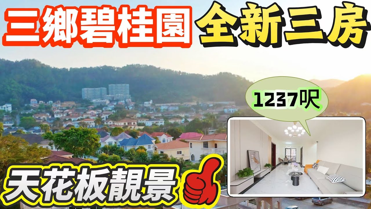 「Lala」中山三鄉·碧桂園天悅府｜「無敵視野」山景、別墅景、湖景｜最新售價￥99.8萬｜1237呎南北通三房｜精裝交付 所見即所得｜私家電梯入戶｜三鄉富人區｜碧桂園物業｜【2月4號笋盤推薦】#三鄉
