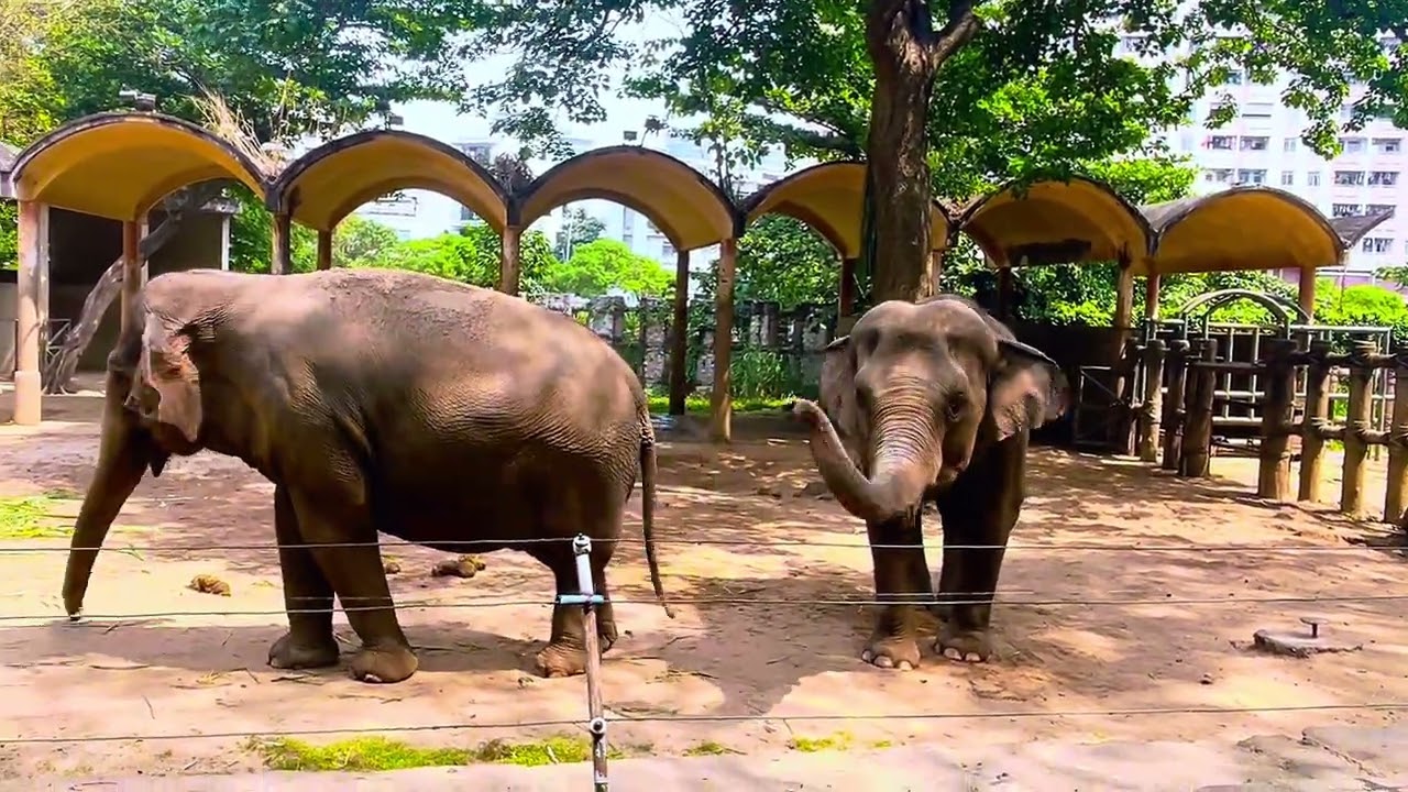 Thảo cầm viên