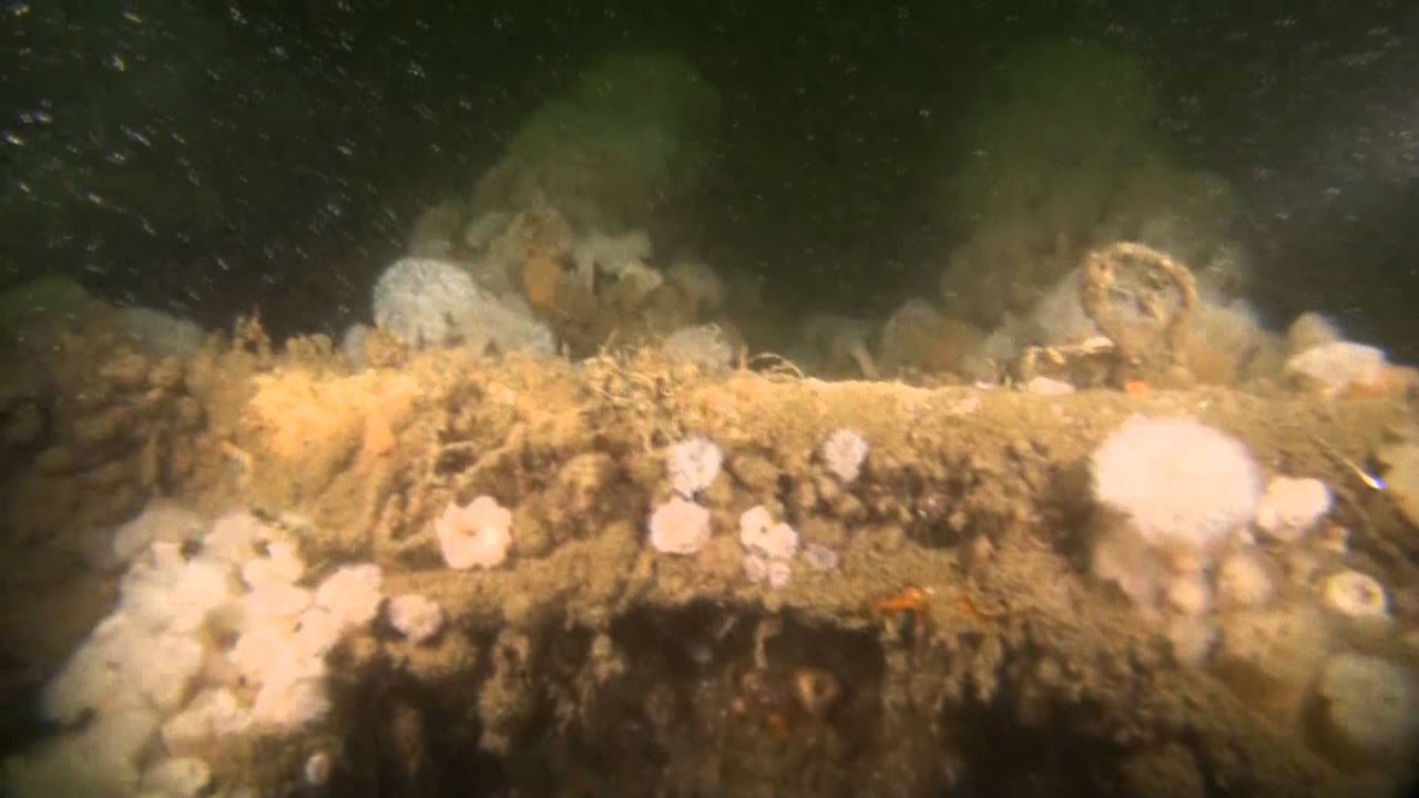 547 Noordzee wrakduik op de Panago