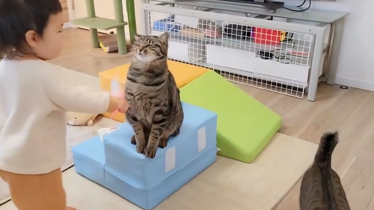 自由な１歳児に付き合ってくれる猫が優しすぎました...。