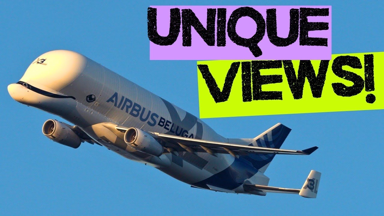 Beluga XL As You've NEVER Seen It Before!!!